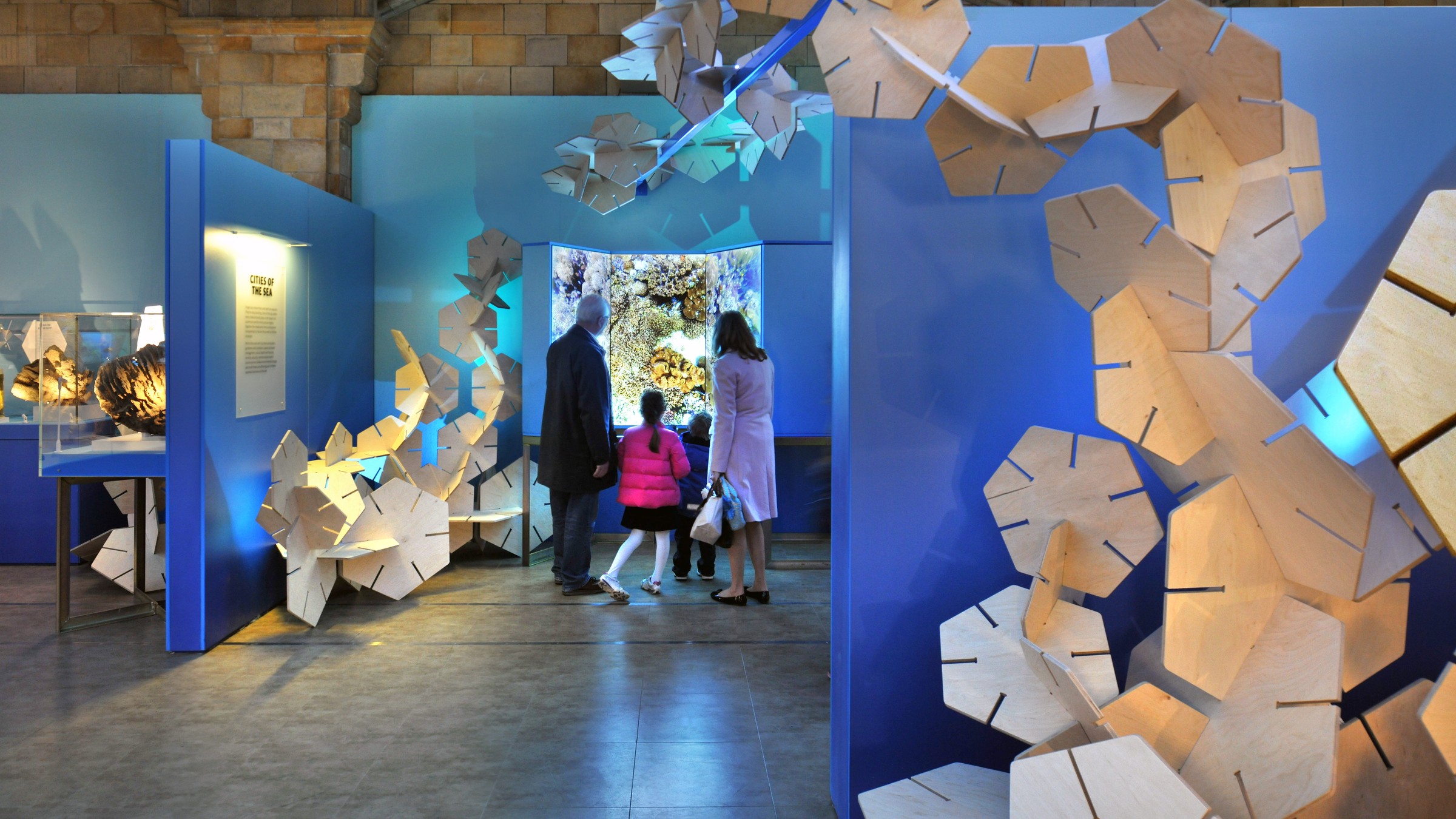 Creatures of the Reef - Explorer Game