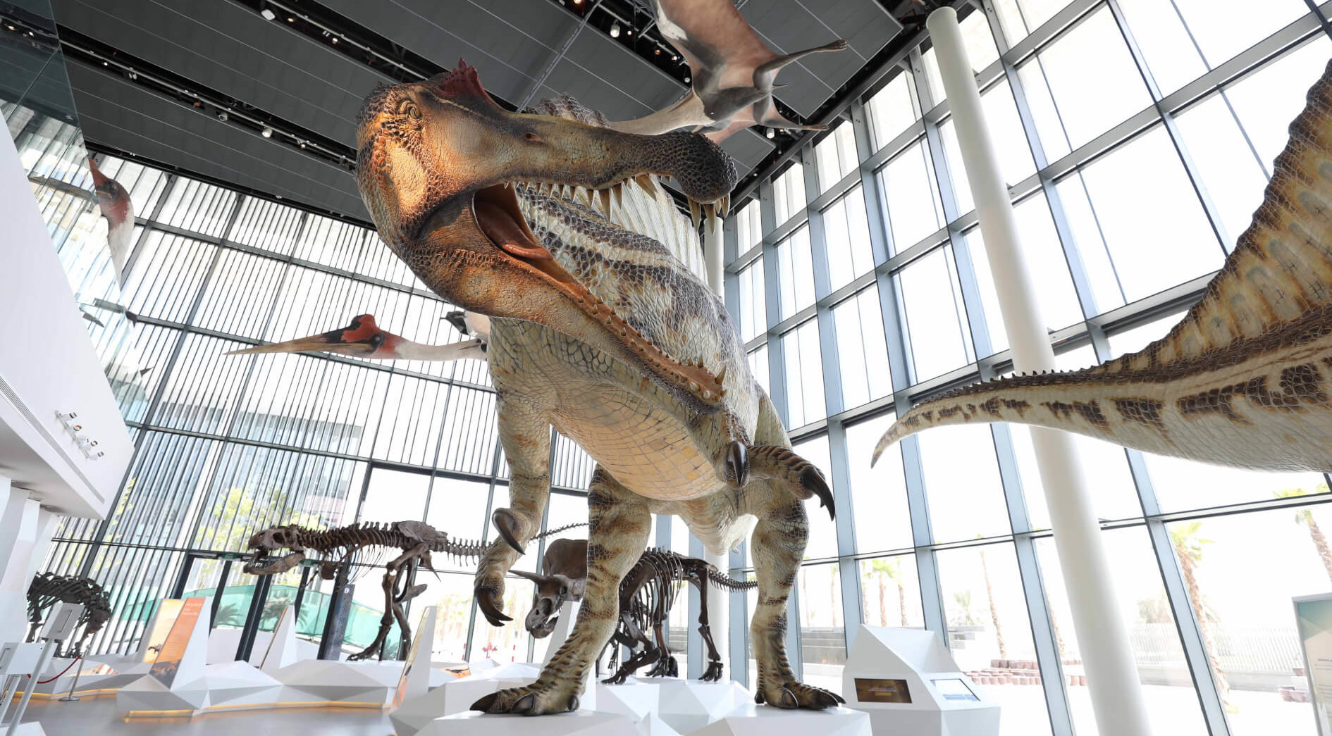 Natural History - 50 Digital Experiences