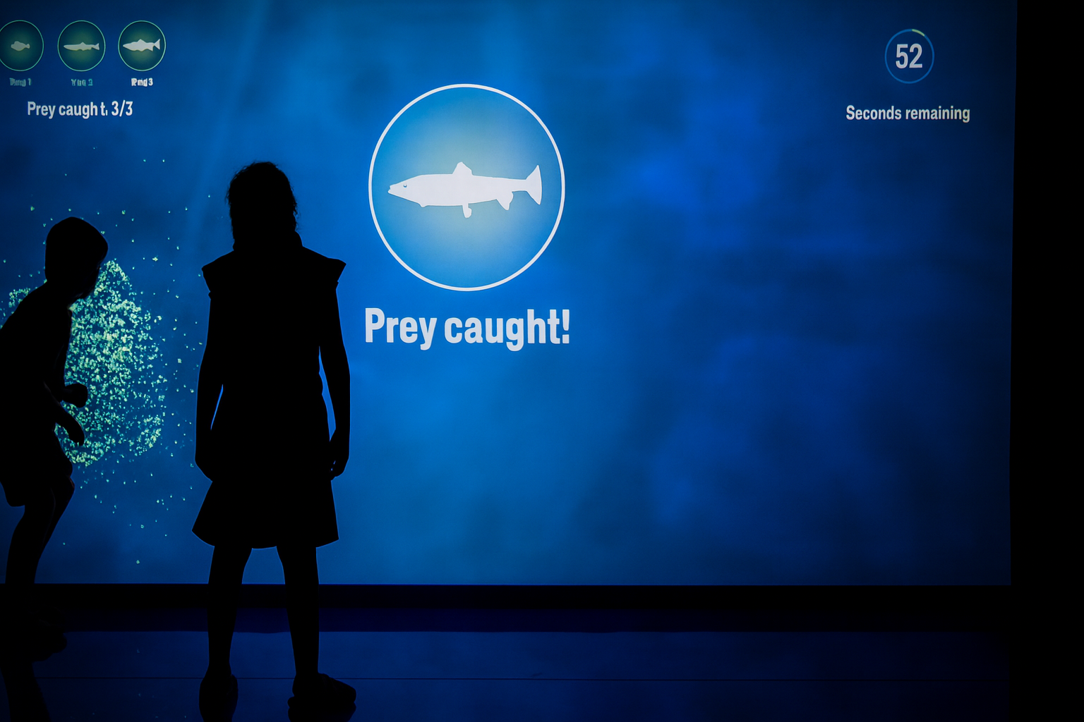 Echolocation - Large Format Game